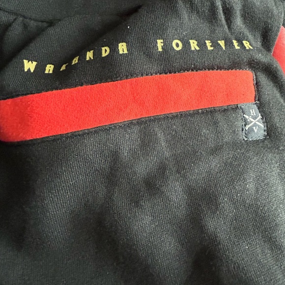 NWT MARVEL Wakanda Forever
Sweatpants/joggers Mens size Medium
Drawstring waist - Picture 9 of 11